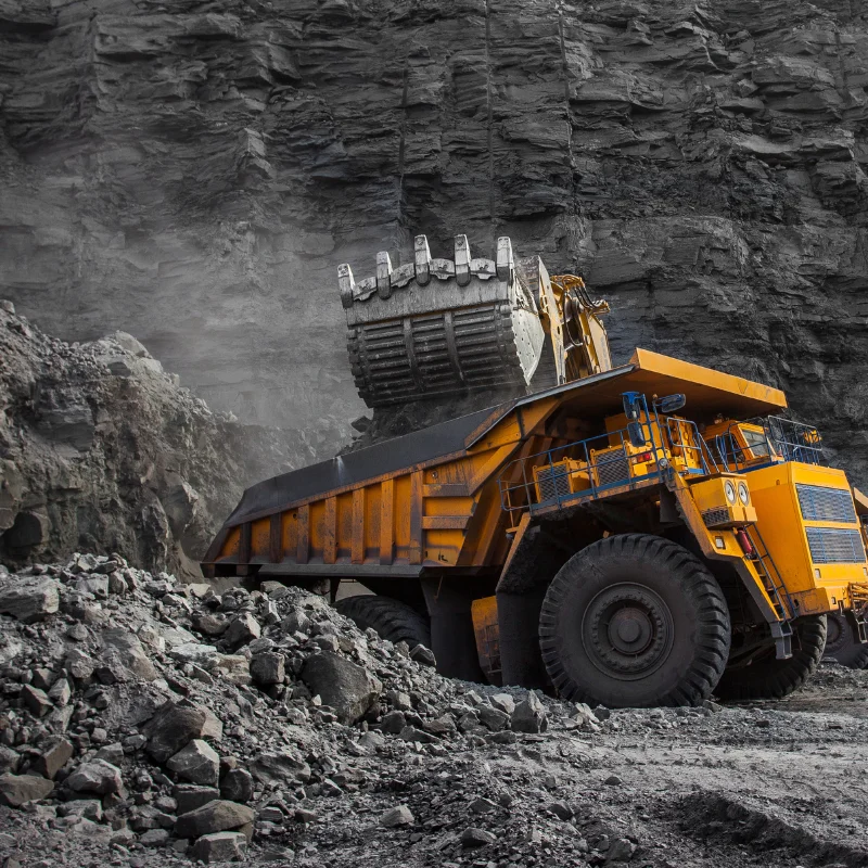Coal
